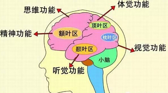 注意力測評